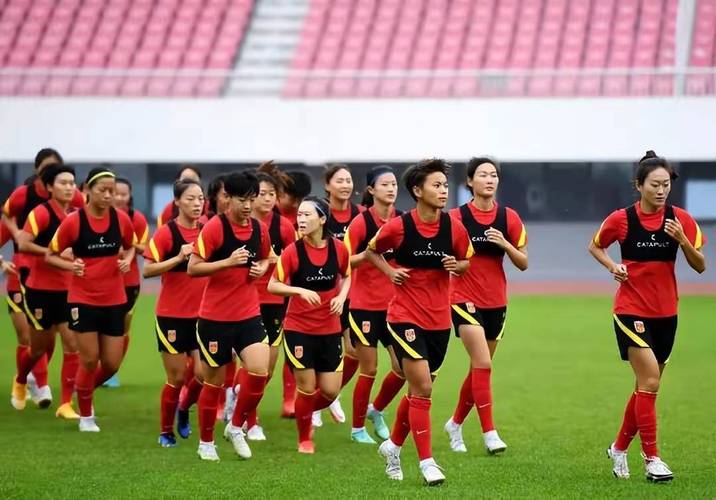 中国女足新一期名单:王霜、李梦雯、张琳艳、吴海燕、唐佳丽在列