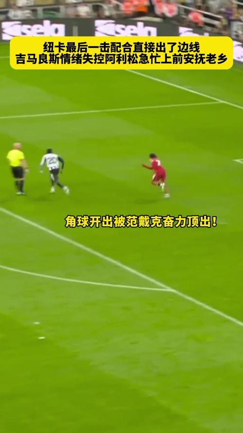 英媒:纽卡在6月拒绝曼城对吉马良斯的询价,后者随后签赖因德斯