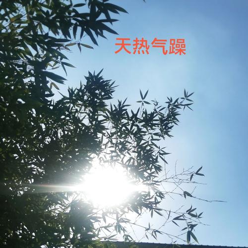 普尔:新奥尔良人很热情好客 但这里天气确实很热