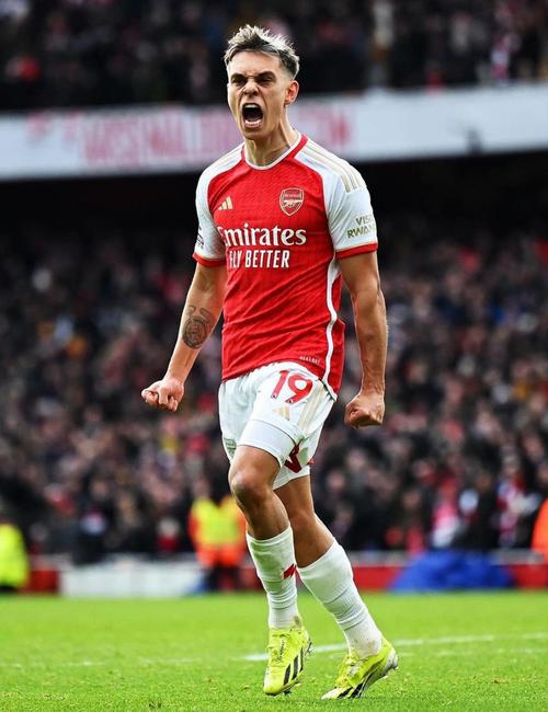 特罗萨德:萨利巴已是世界最佳中卫之一,他几乎拥有所有素质