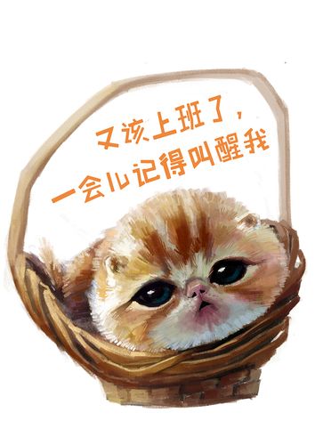 大将军:阿耶莎只说当年不想结婚生娃 坦诚没错 你们还不想上班呢