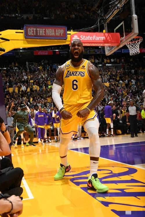 全面!新赛季詹姆斯有望篮板超罗德曼&助攻超基德&三分超米勒