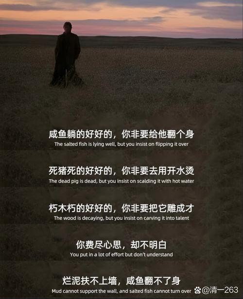 库明加:今日你在此地明日或许就身在别处 对于未来我从不焦虑