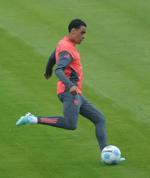 图片报:穆西亚拉今天观看队友训练,并给球迷们签名