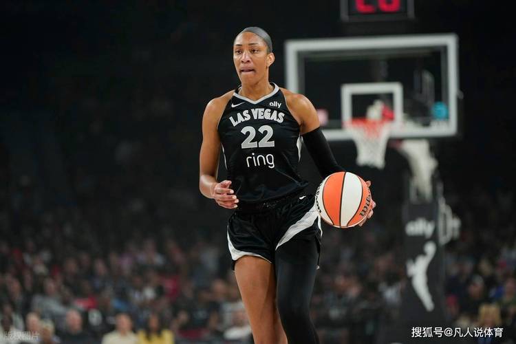 数据网站公布本赛季WNBA球员浏览量排行：克拉克第1  阿贾第3