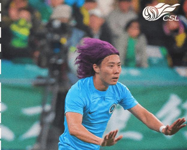 国安获得角球，对手拿走皮球，张稀哲连拉带推拿回皮球