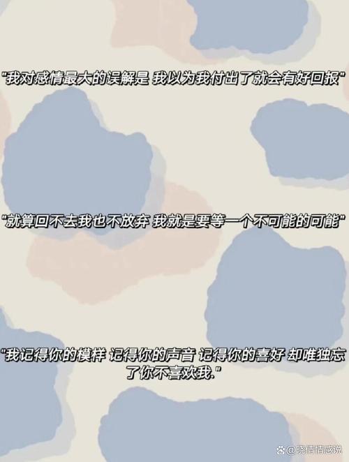 比尔森胜利主帅：这个夜晚一生难忘，下半场没有死守而是继续进攻