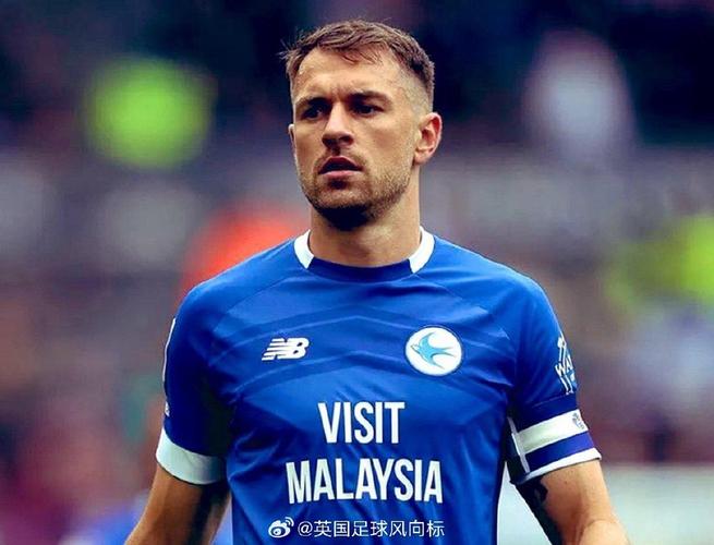 阿斯:拉姆塞在爱犬失踪后陷入深深的抑郁,因此与美洲狮解约